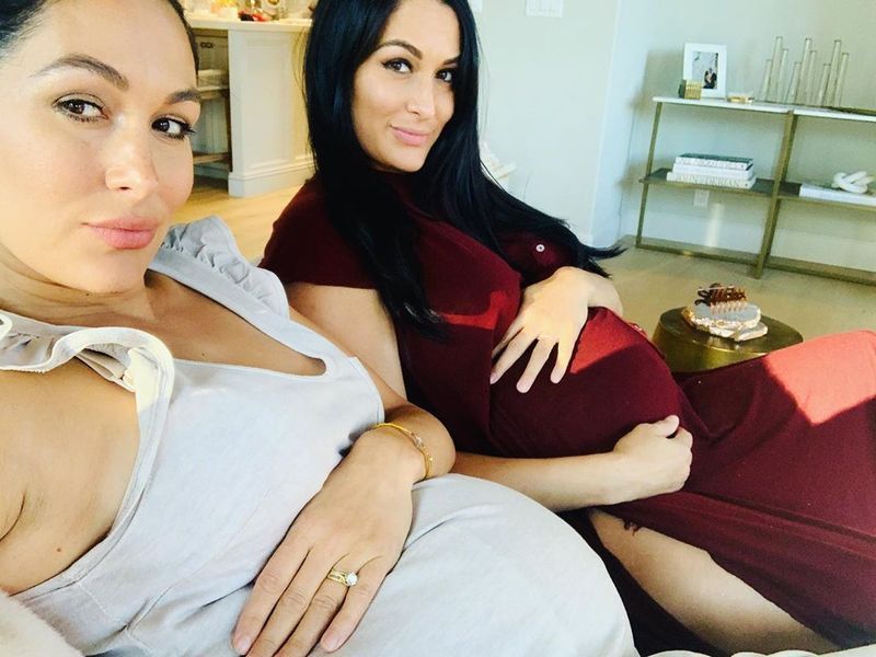 Terhes Nikki és Brie Bella