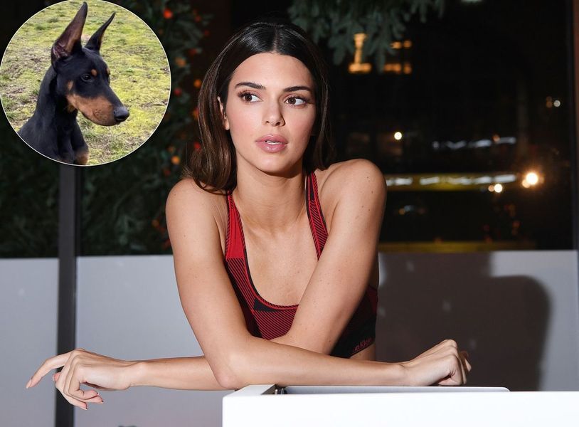 Najsłodszy szczeniak! Kendall Jenner dzieli się uroczym zdjęciem swojego psa - i wreszcie ujawnia swoje imię