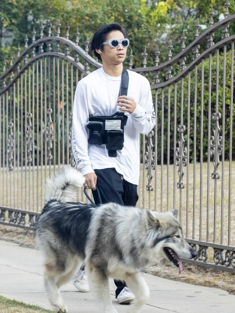   Pax Jolie-Pitt genießt einen seltenen Ausflug in L.A., um mit dem Hund Gassi zu gehen: Fotos