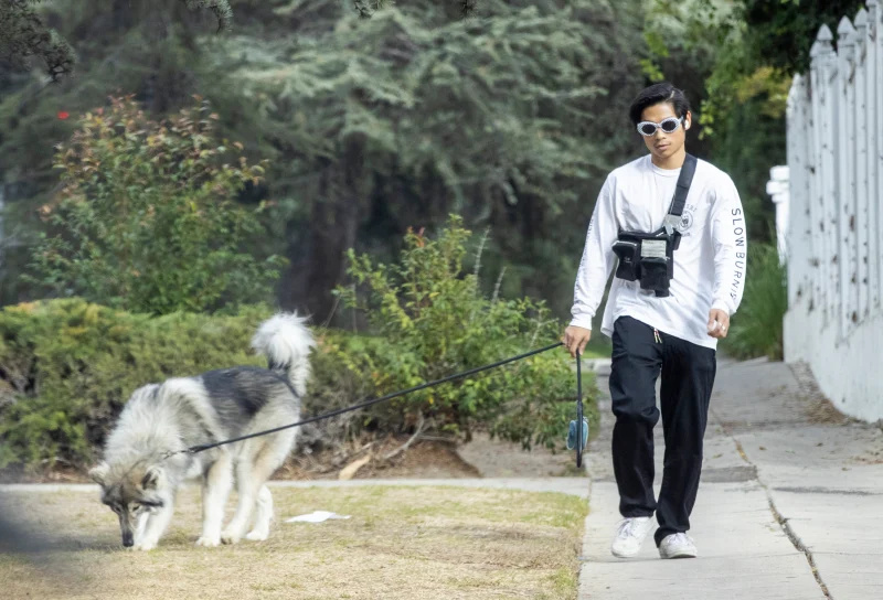   Pax Jolie-Pitt genießt einen seltenen Ausflug in L.A., um mit dem Hund Gassi zu gehen: Fotos