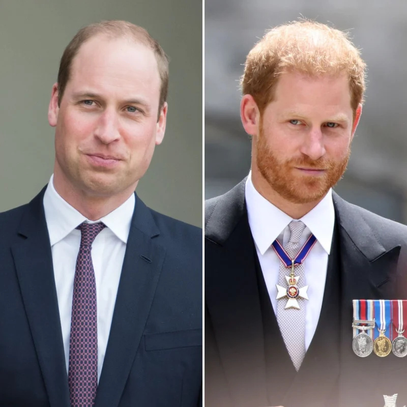   En kongelig rift! Prins William og Prins Harry's Ongoing Feud: A Complete Timeline