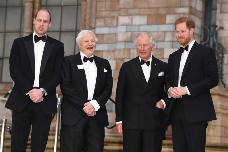   Kraljevski rascjep! Princ William i princ Harry's Ongoing Feud: A Complete Timeline